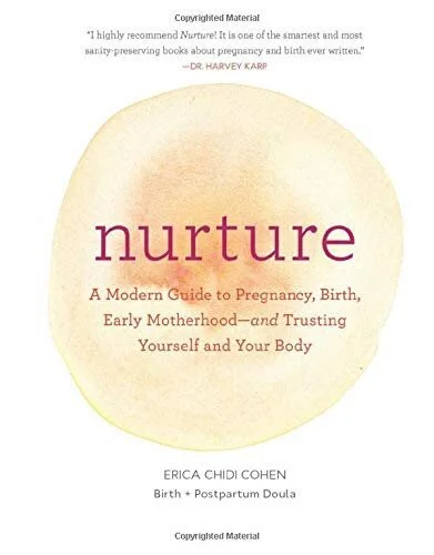 Nurture: A Modern Guide to Pregnancy, Birth, Early Motherhood and Trusting Yourself and Your Body by Erica Chidi