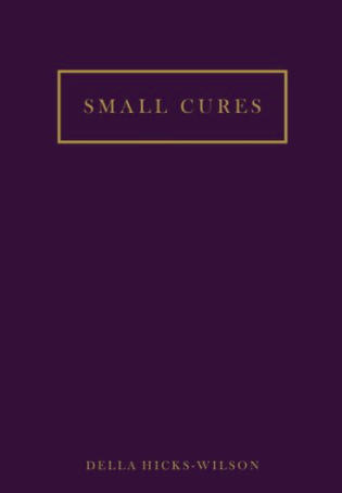 Small Cures By Della Hicks-Wilson