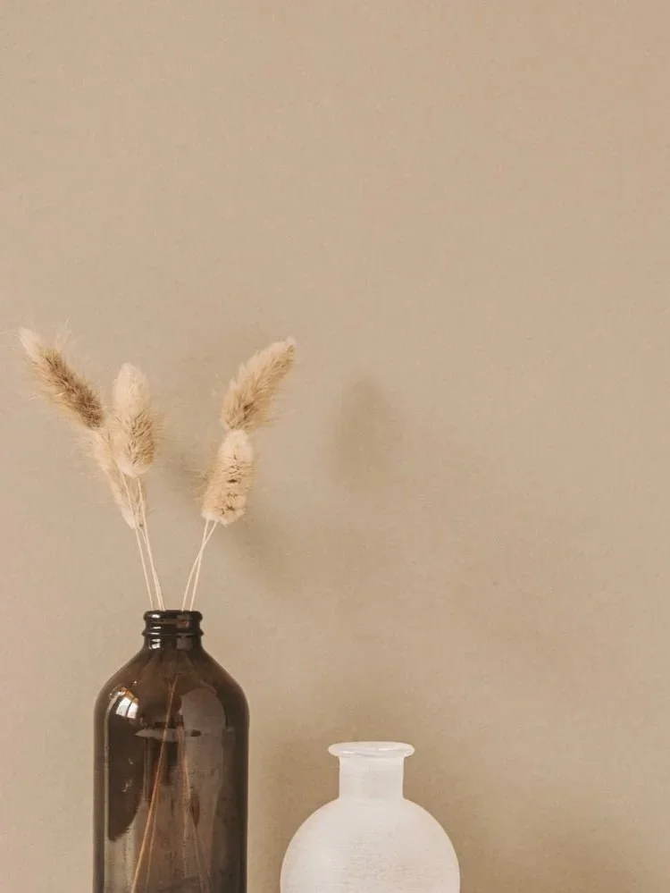 A brown glass vase with dried pampas grass and a small white vase on a neutral-colored wall background.