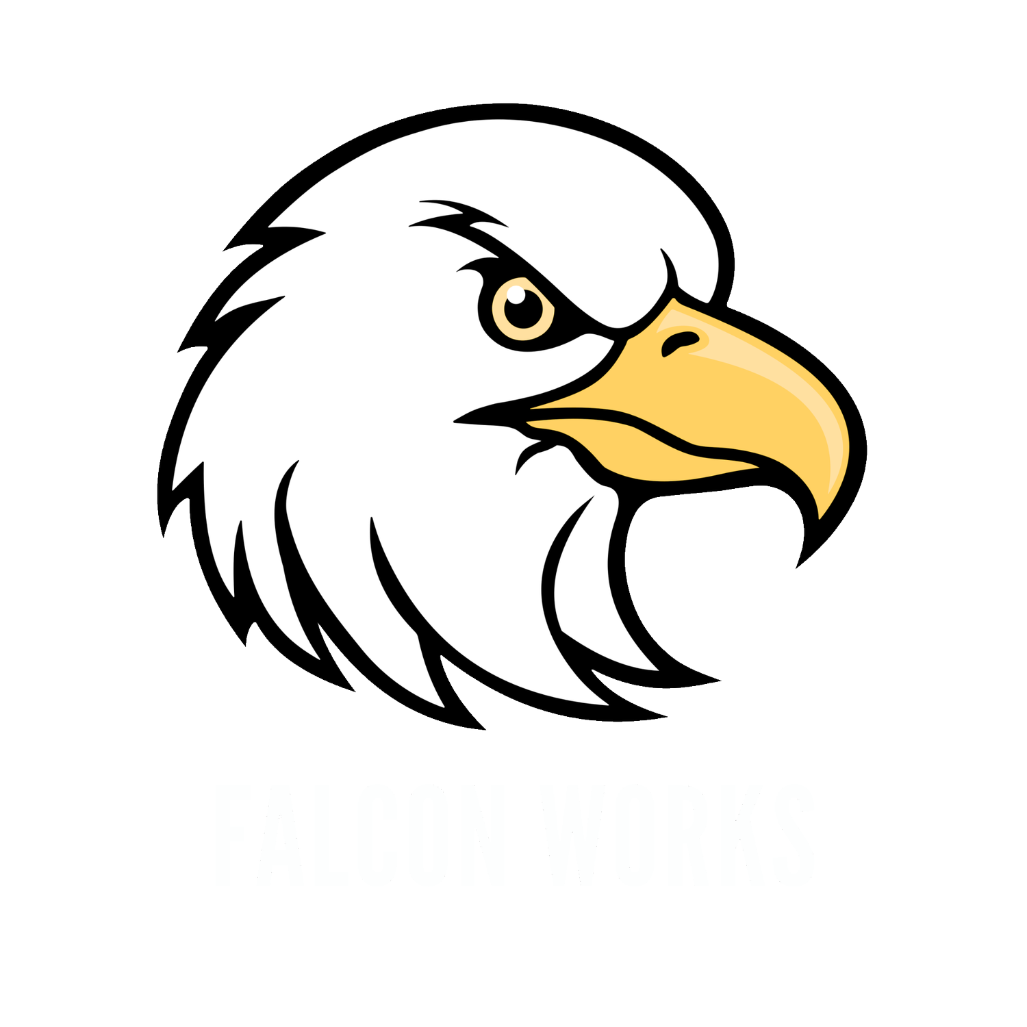 Falcon Works Renovation and Maintenance Services in Dubai