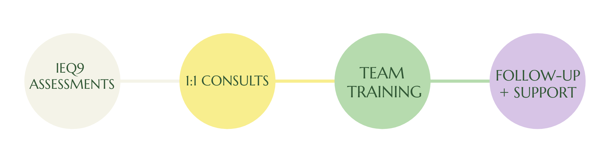 Process steps: iEQ9 Assessments, one-to-one consults, team training, follow-up and support