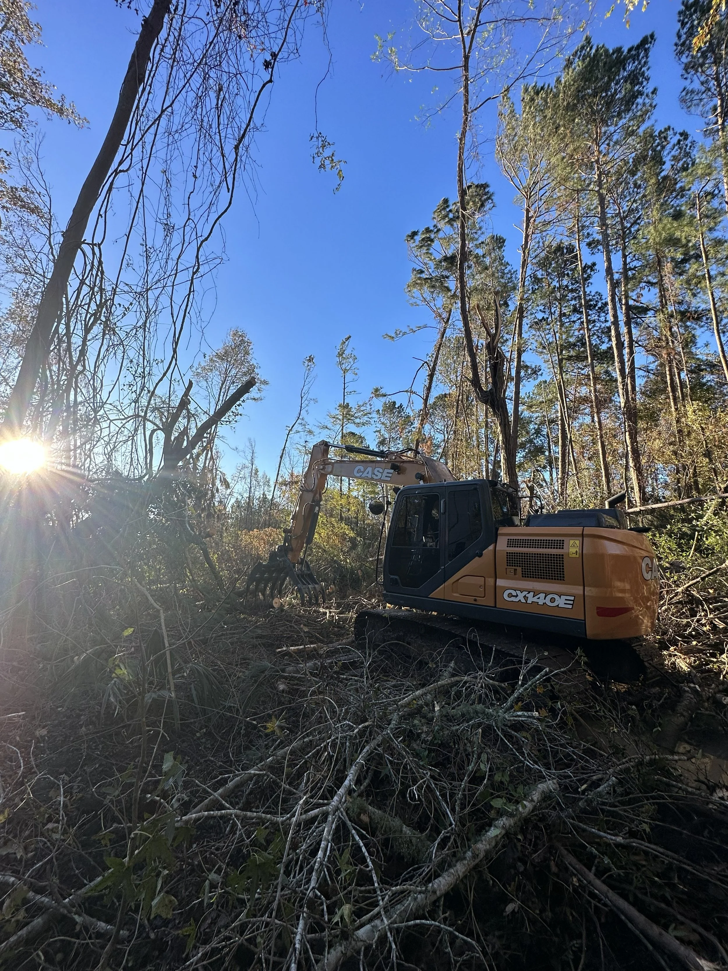 A construction excavator working in a forest, with fallen branches and trees around, under a clear blue sky with sunlight.