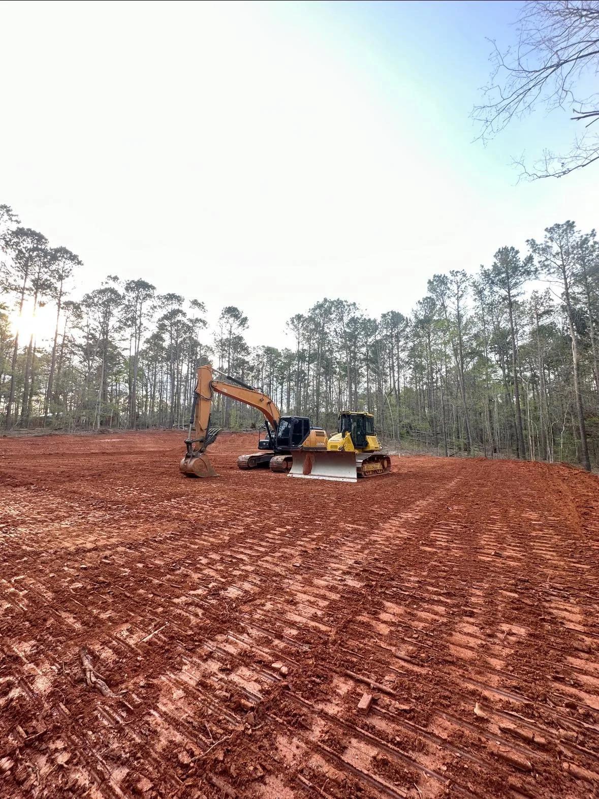 Construction site with two excavators parked on freshly tilled soil, surrounded by a forest of tall trees, under a bright sky.