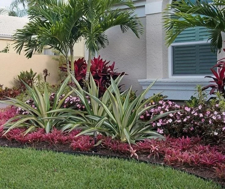 Colorful garden with various tropical plants, including palm trees, decorative grasses, and vibrant flowering shrubs in front of a house with tiled siding.