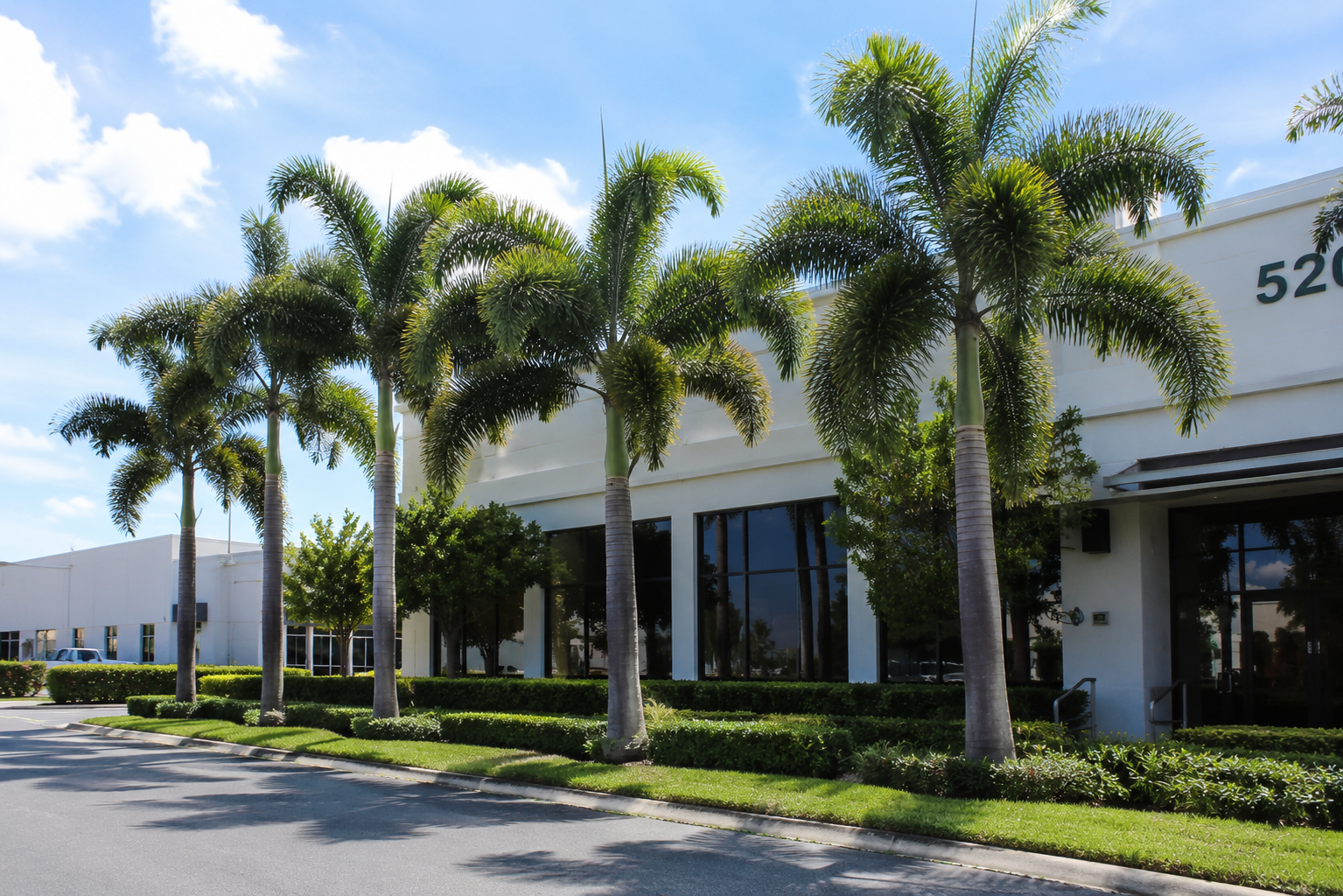 Exterior view of a modern commercial building with large glass windows and white walls, lined with tall palm trees and landscaped bushes under a partly cloudy blue sky.