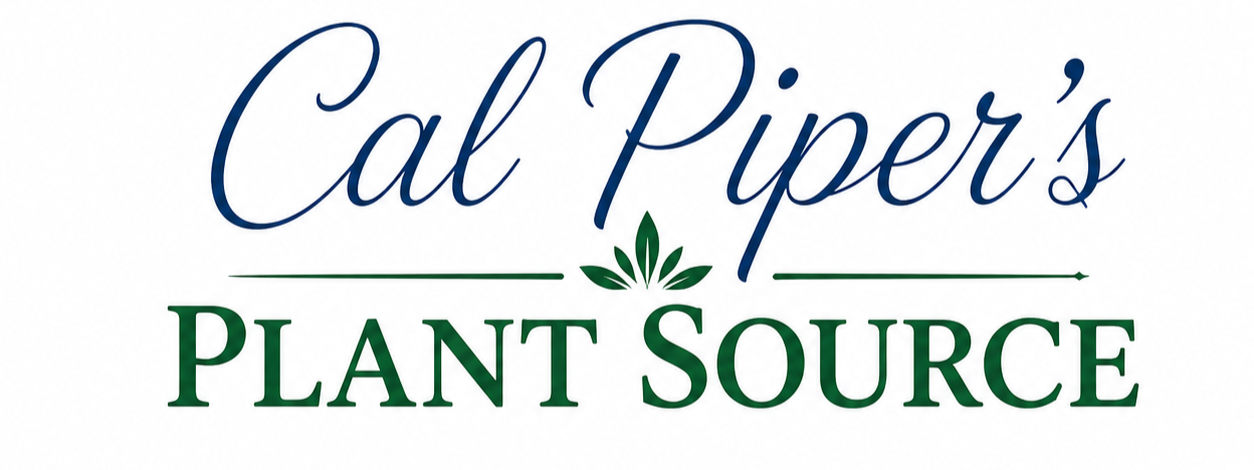 Logo for Cal Piper's Plant Source with stylized text and a green plant icon.