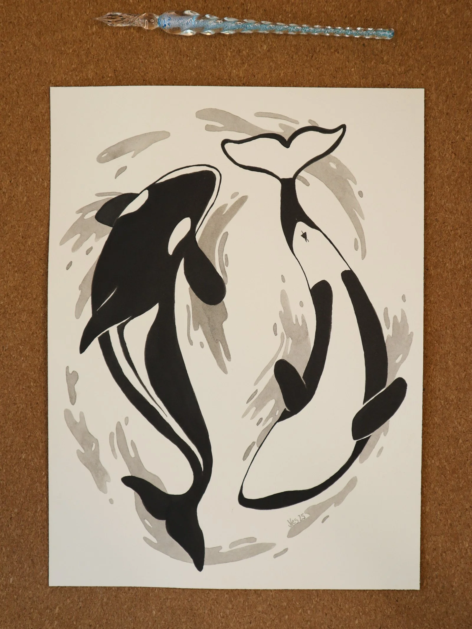 Orca-8.jpg