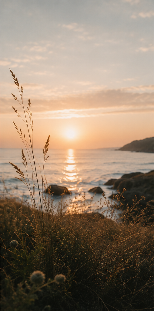 Sunset over the ocean with calm waves, rocks, and wild grasses and plants in the foreground.