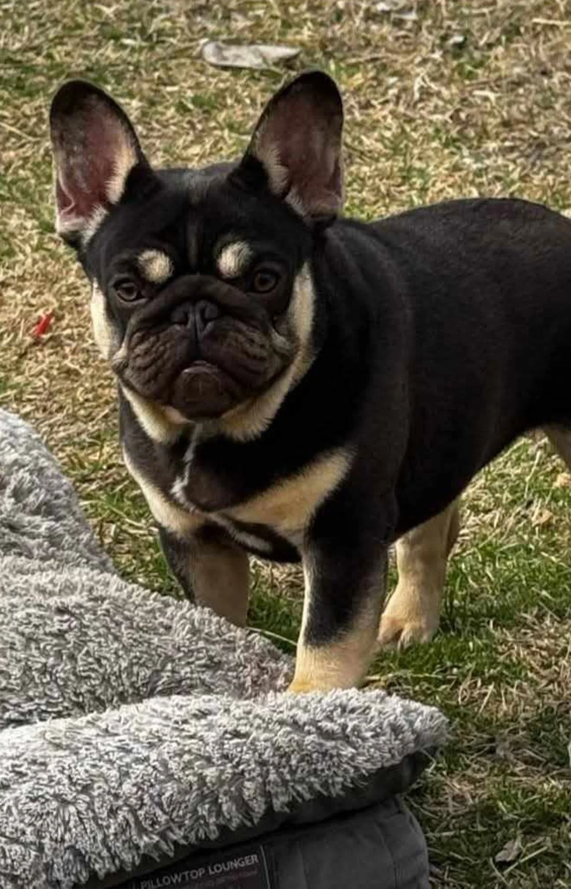 grumpy2.jpg