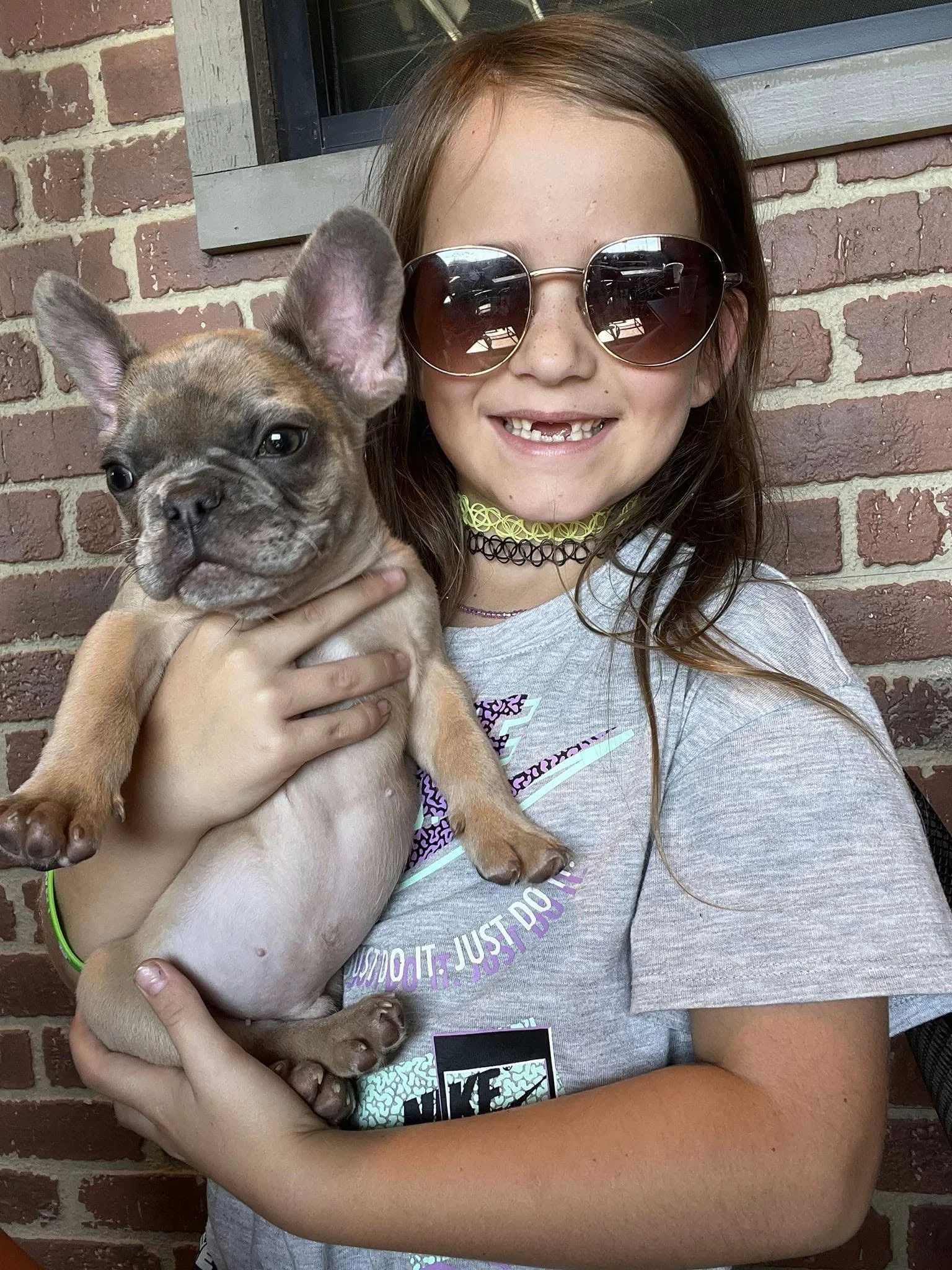 A young girl with long brown hair, wearing sunglasses, smiling and holding a small tan and gray French Bulldog puppy against a brick wall background.