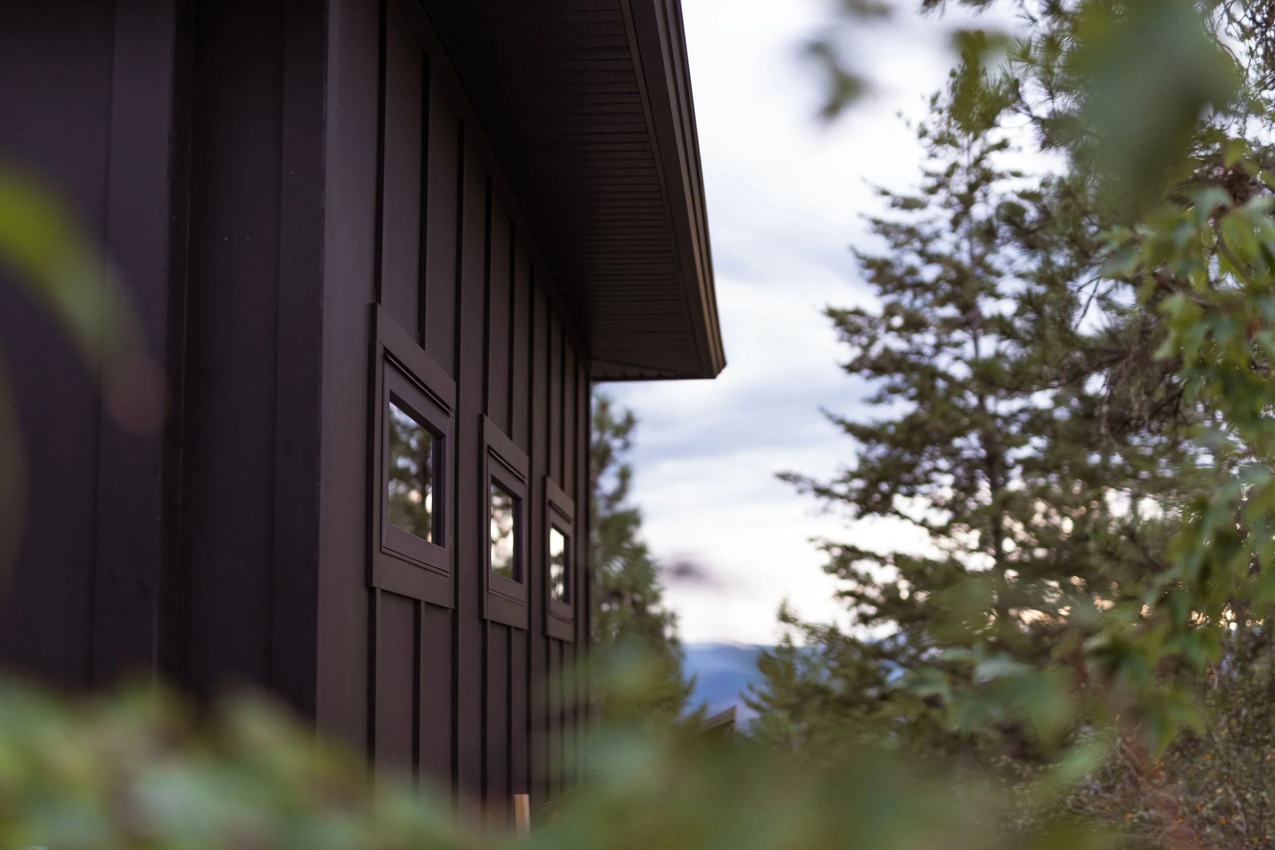 Close-up of a dark house exterior with trees and cloudy sky in the background.