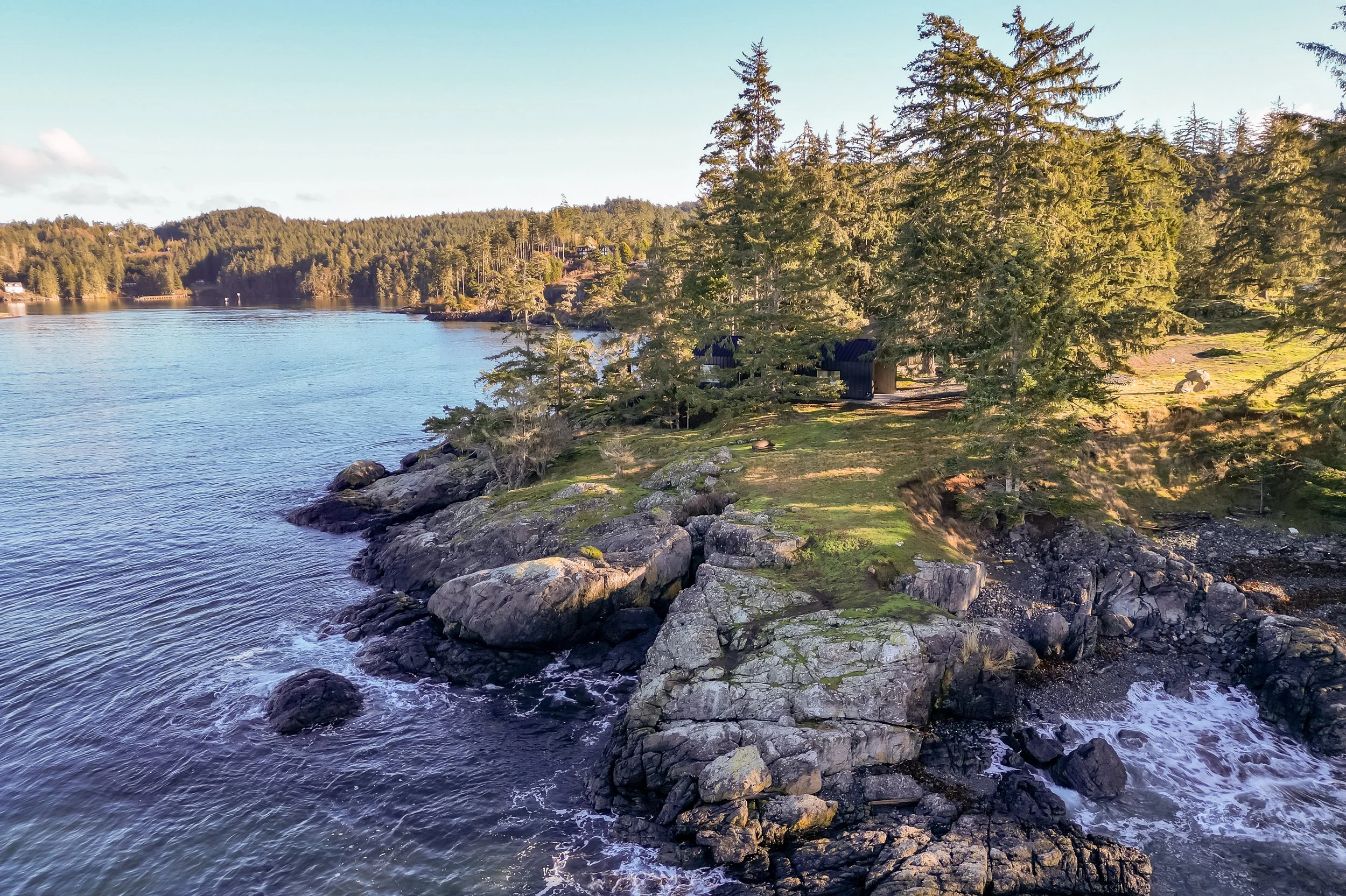 Scenic view of a rocky shoreline next to calm water, with a dense forest of tall evergreen trees in the background under a clear sky.