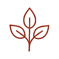 Simple illustration of a plant with three leaves, stem, and leaf veins, in brown outline.
