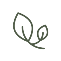 Simple black line drawing of two leaves on a branch.