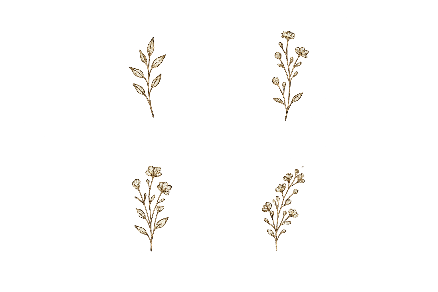Four symmetrical botanical illustrations with two types of plants with buds and leaves on a black background.