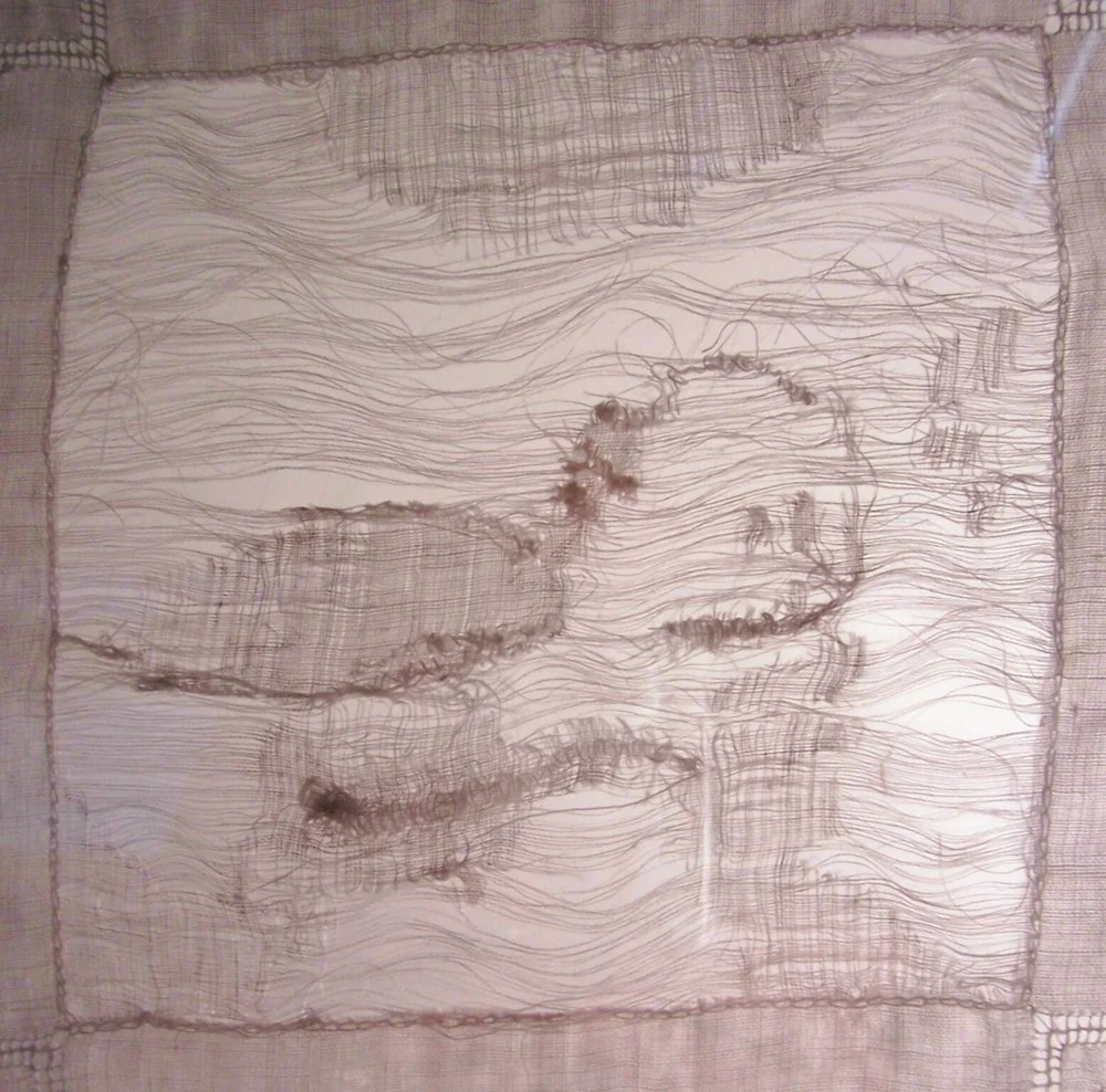 SchompSonogramPiece.jpg