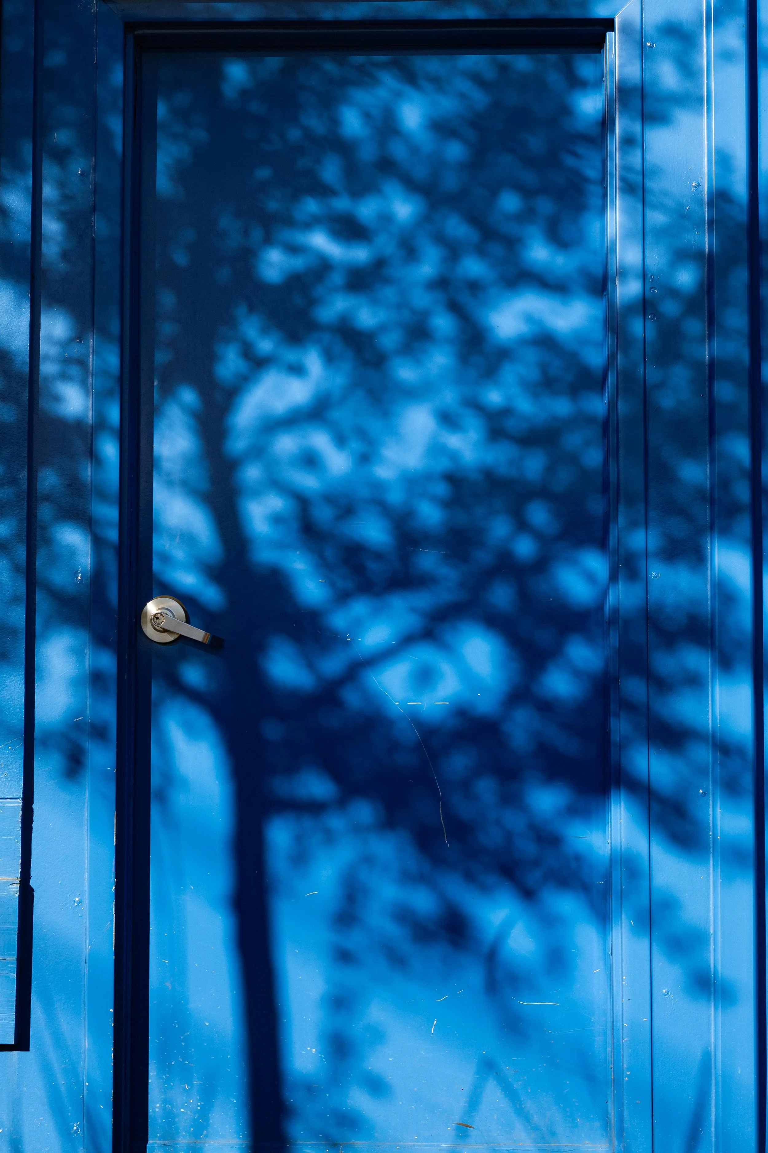 Blue metal door with a handle, casting shadows of tree branches and leaves on its surface.
