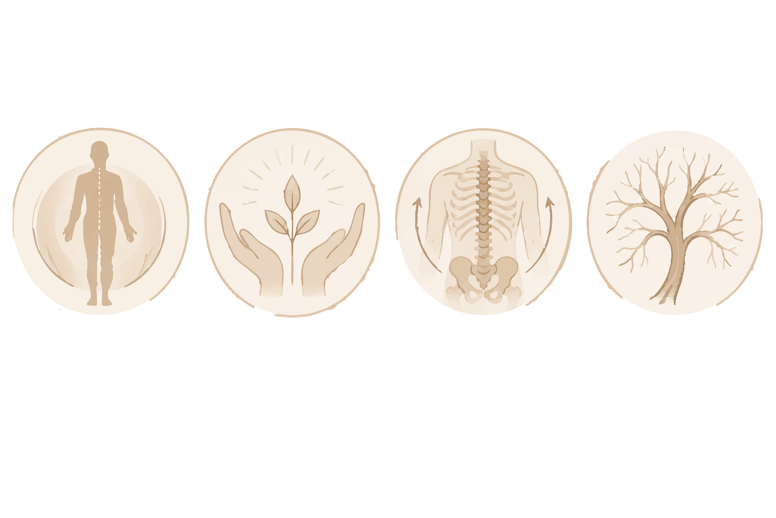 Diagramme illustrant le corps humain, y compris la silhouette, le système circulatoire, la colonne vertébrale et un arbre représentant la croissance ou la vie.