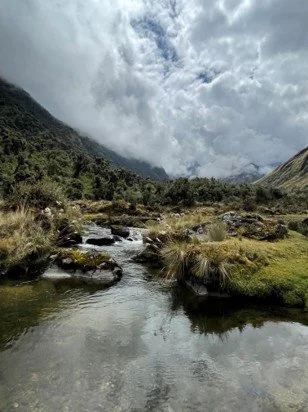A mountain stream flowing through a lush green valley with cloudy skies overhead.