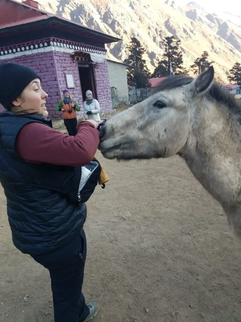 Megan Rand feeding a donkey or mule in a mountainous area of Nepal with other people in the background. There is a colorful building with a mountain behind.