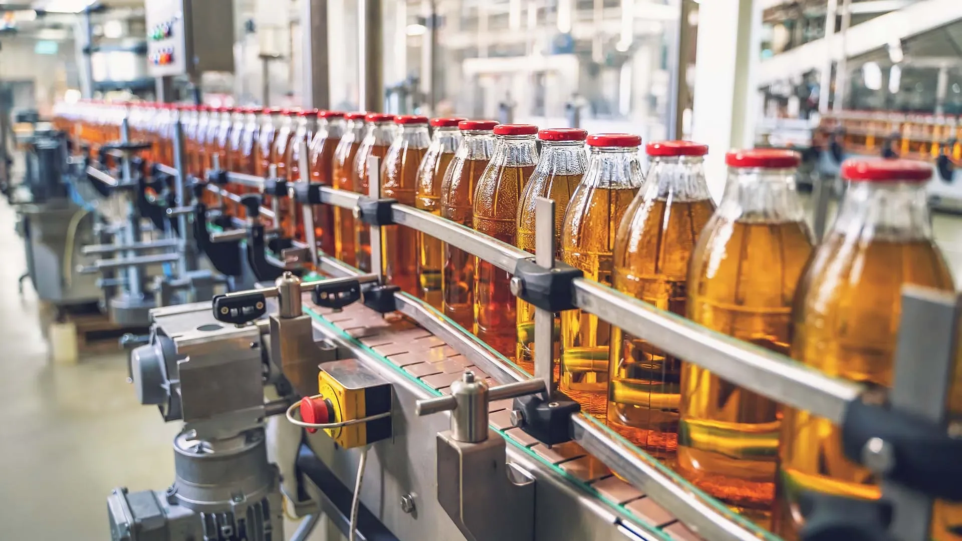 Bottles of amber-colored liquid moving along a production line in a factory.
