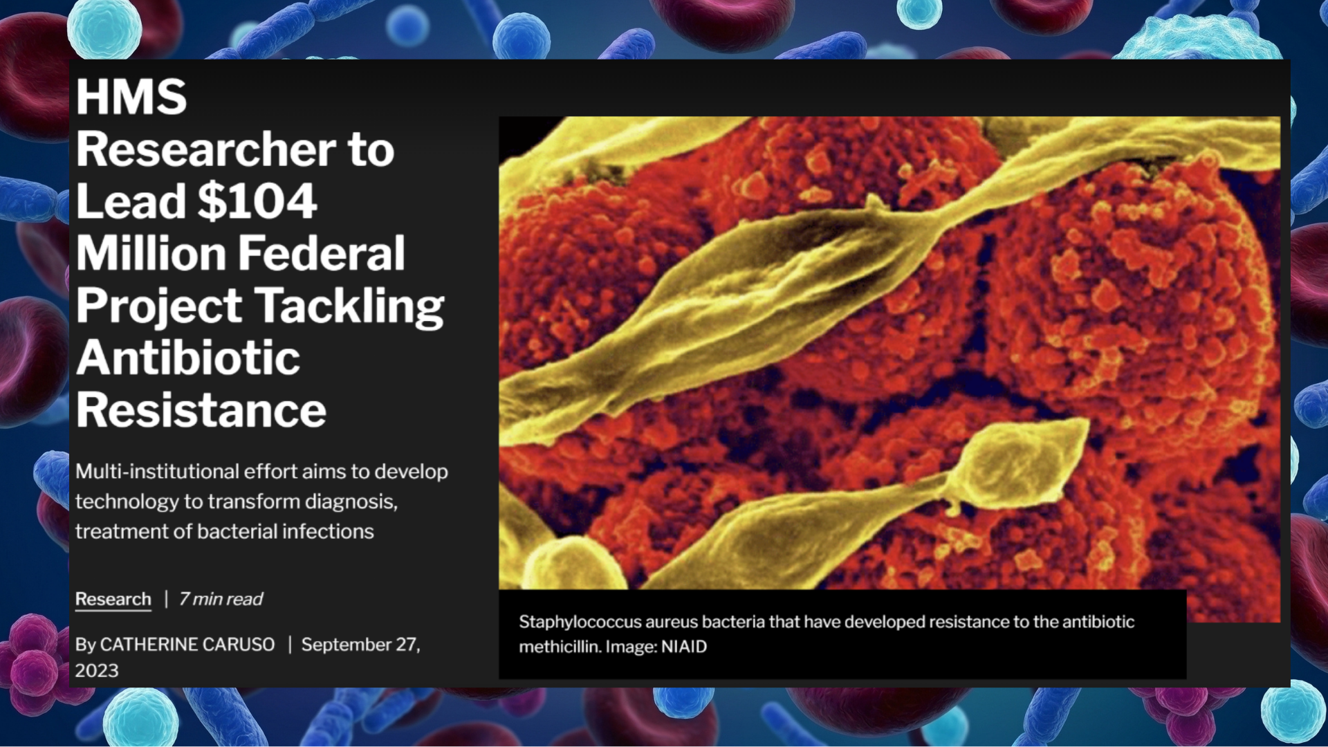 HMS Researcher to Lead $104 Million Federal Project Tackling Antibiotic Resistance