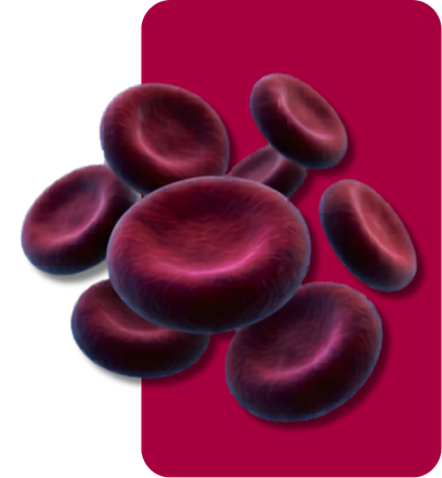 A digital illustration of red blood cells on a pink background.