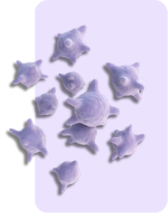 A group of purple, spiky sea shells on a light purple background.