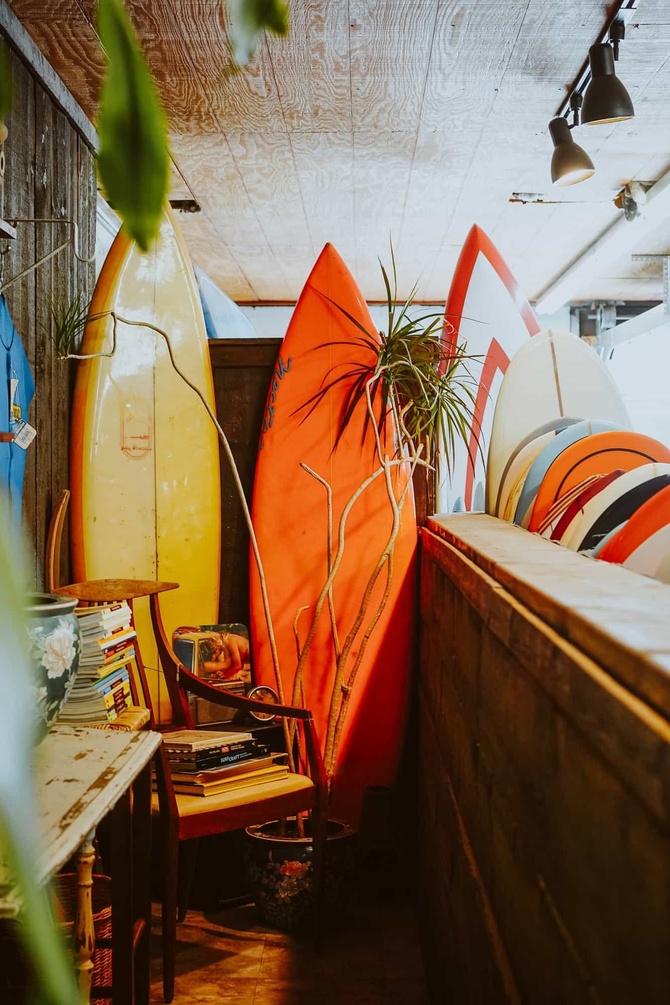 Indoor storage space with surfboards, plants, books, and various decor items.