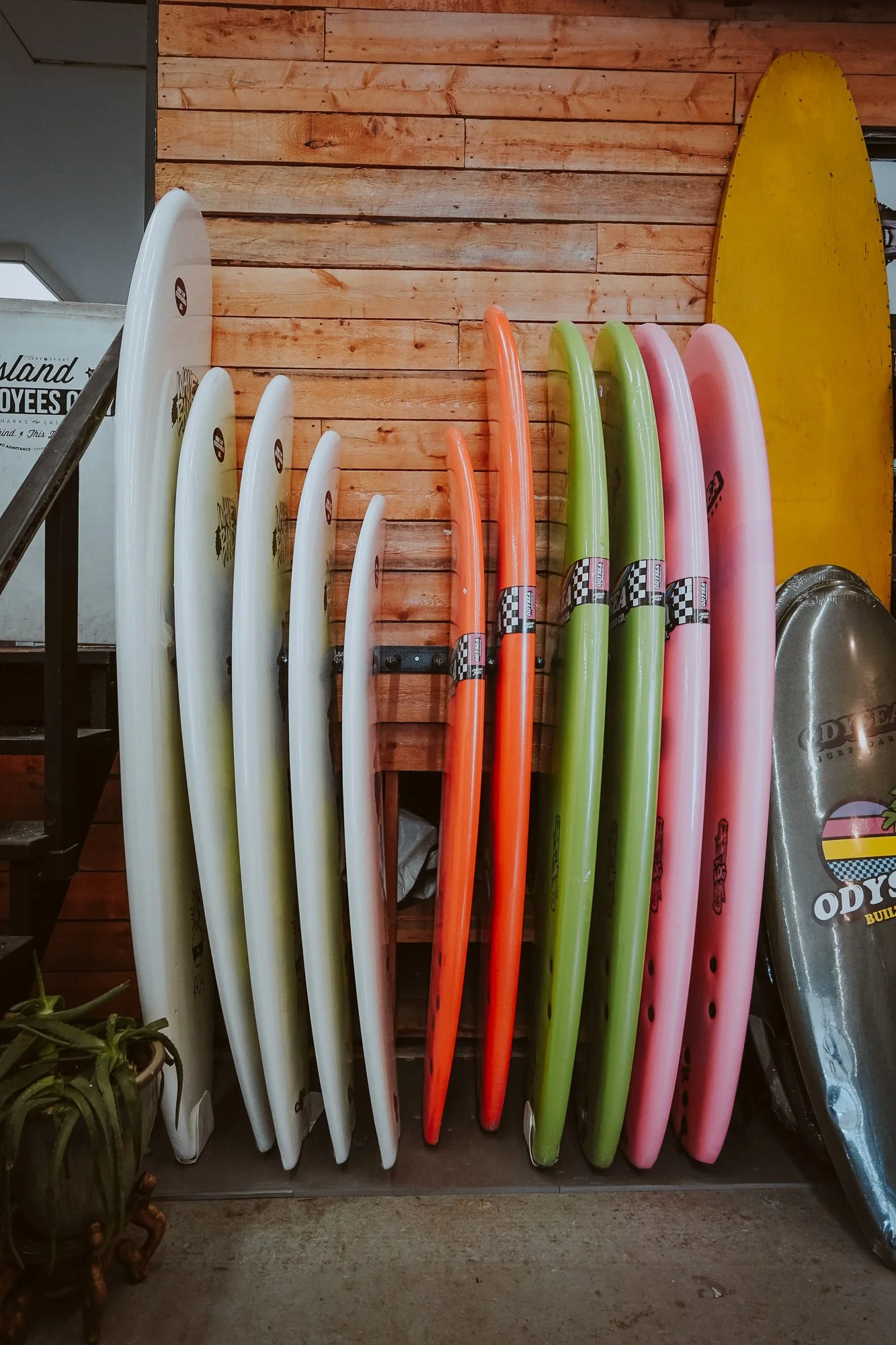 Colorful surfboards upright against a wooden wall in a surf shop.