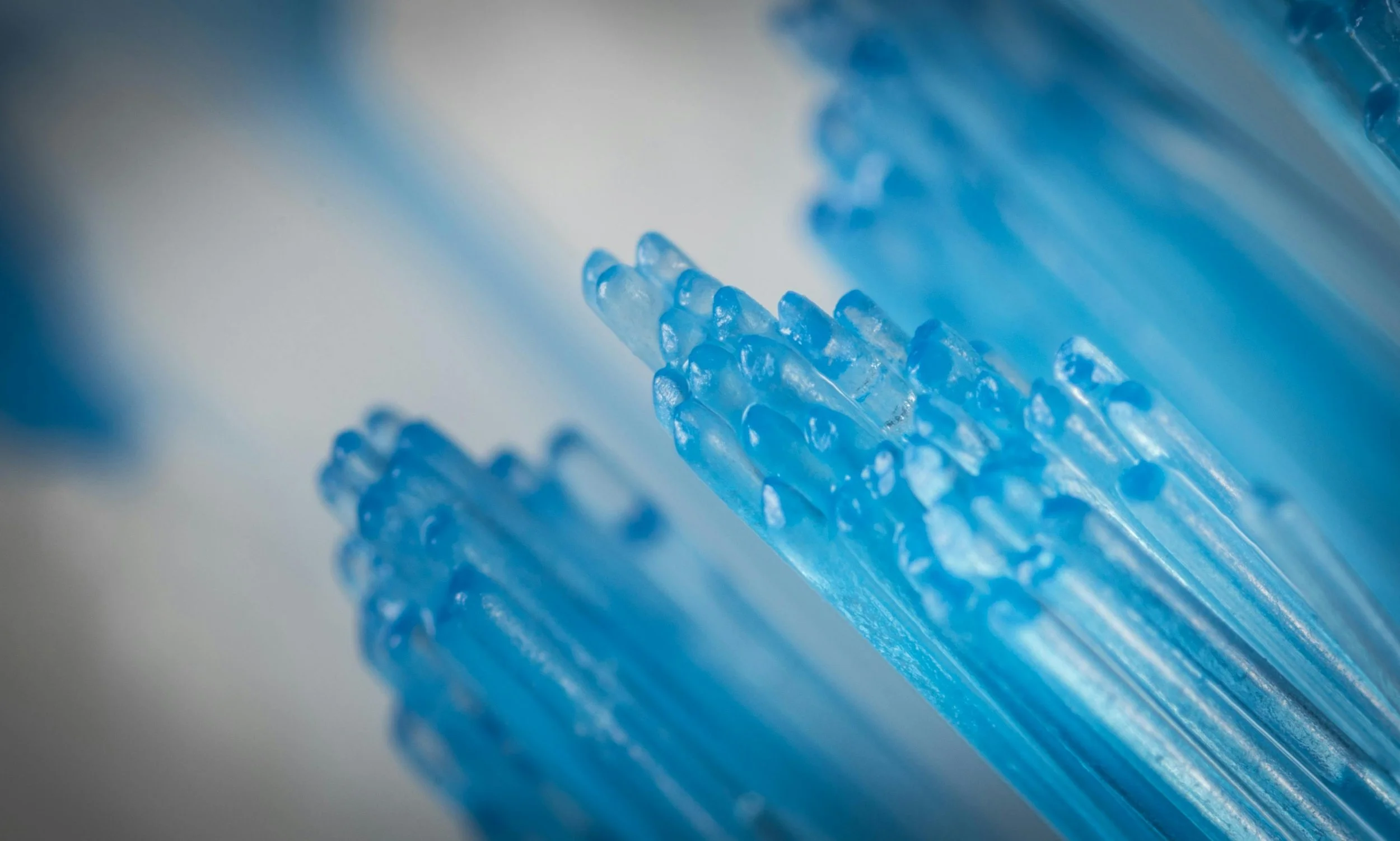 Certified fiber optic installation and high-performance network backbone infrastructure.