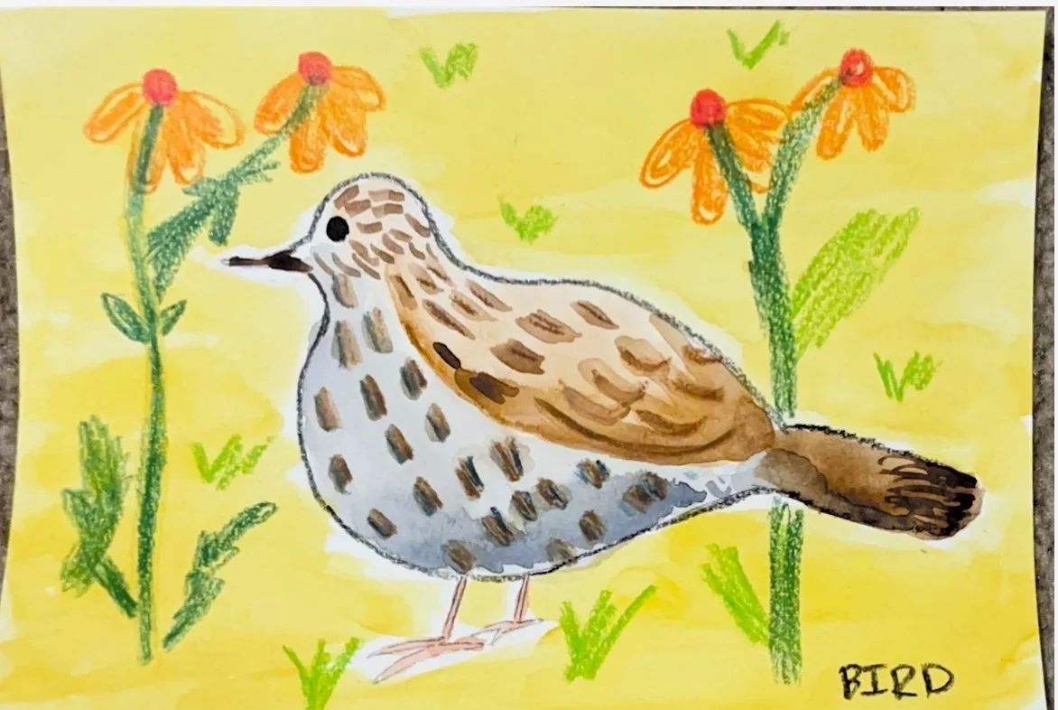 Bird.jpg