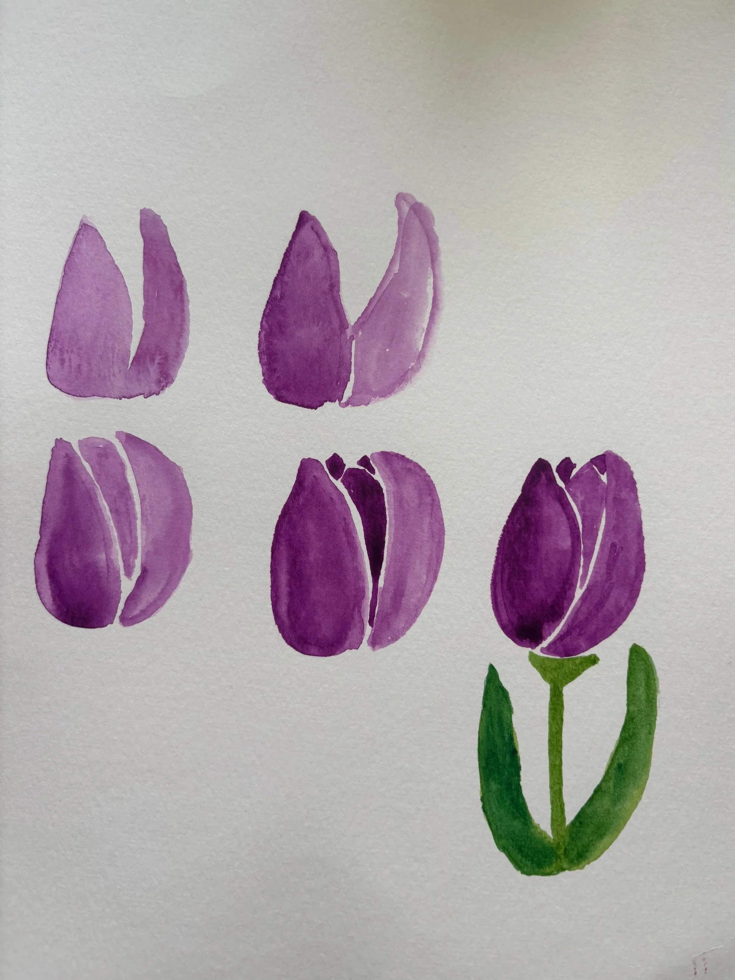 tulip.jpg