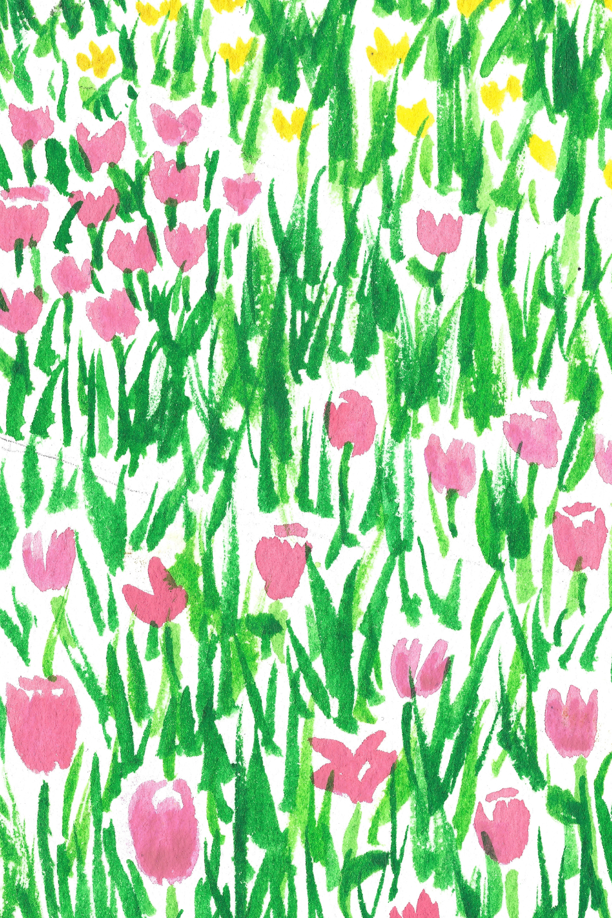 Flower field cards