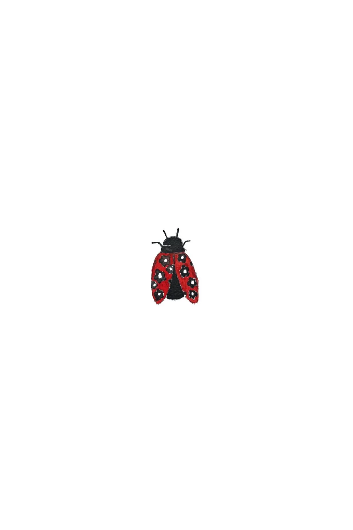 inside of ladybug card.jpg