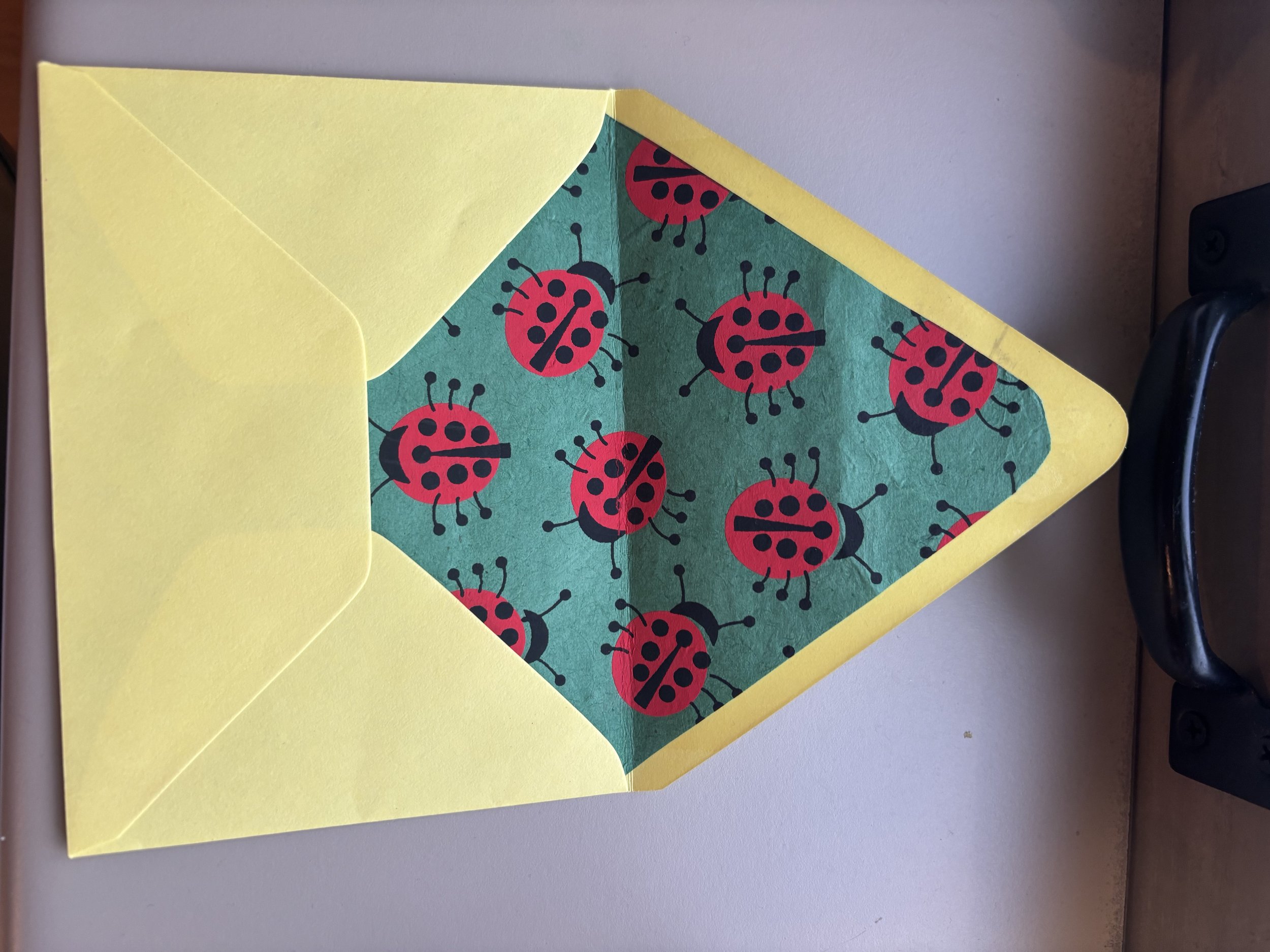 lady bug lined envelope .jpg