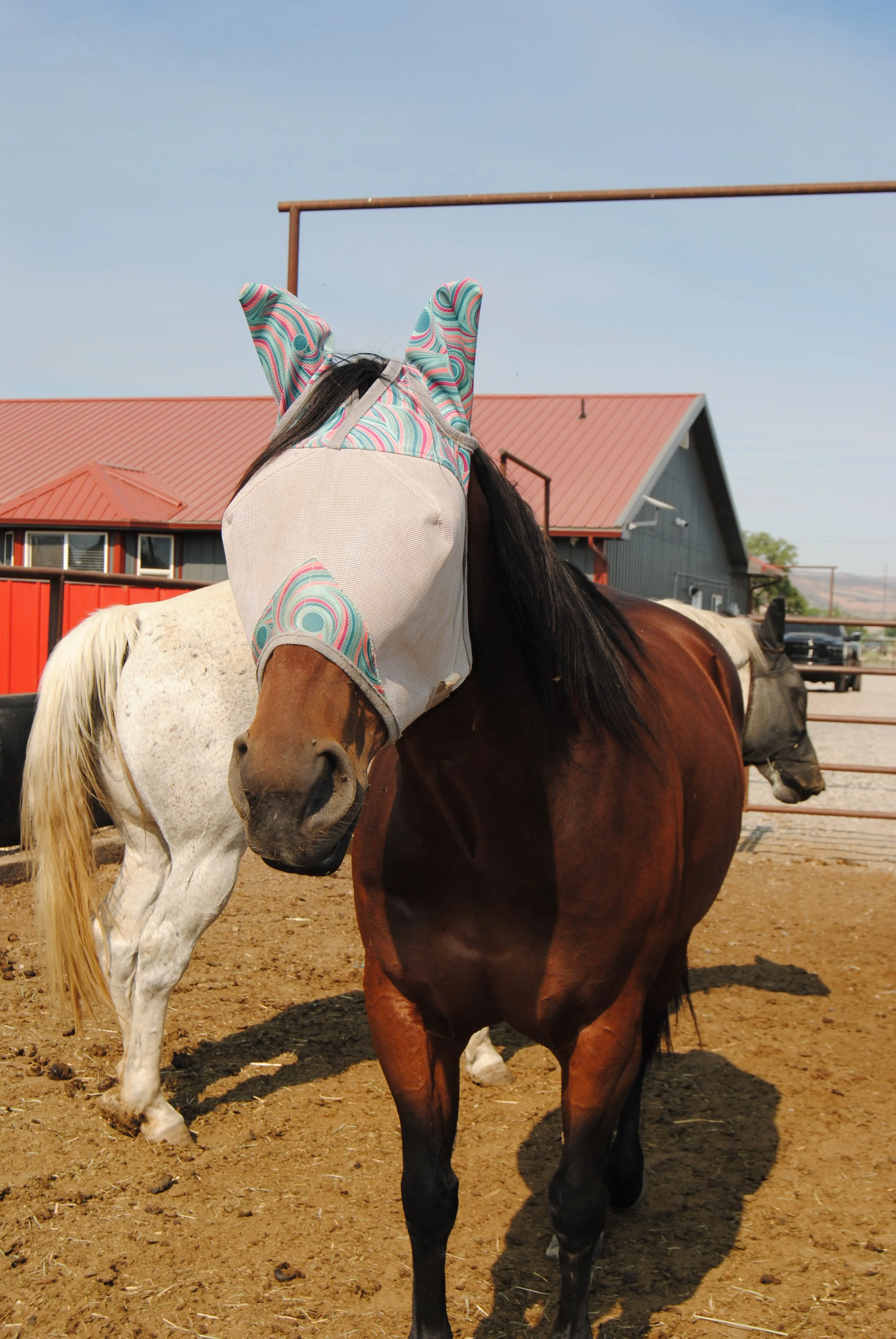 A brown horse wearing a colorful mask on its face, standing outdoors with a barn and clear blue sky in the background.