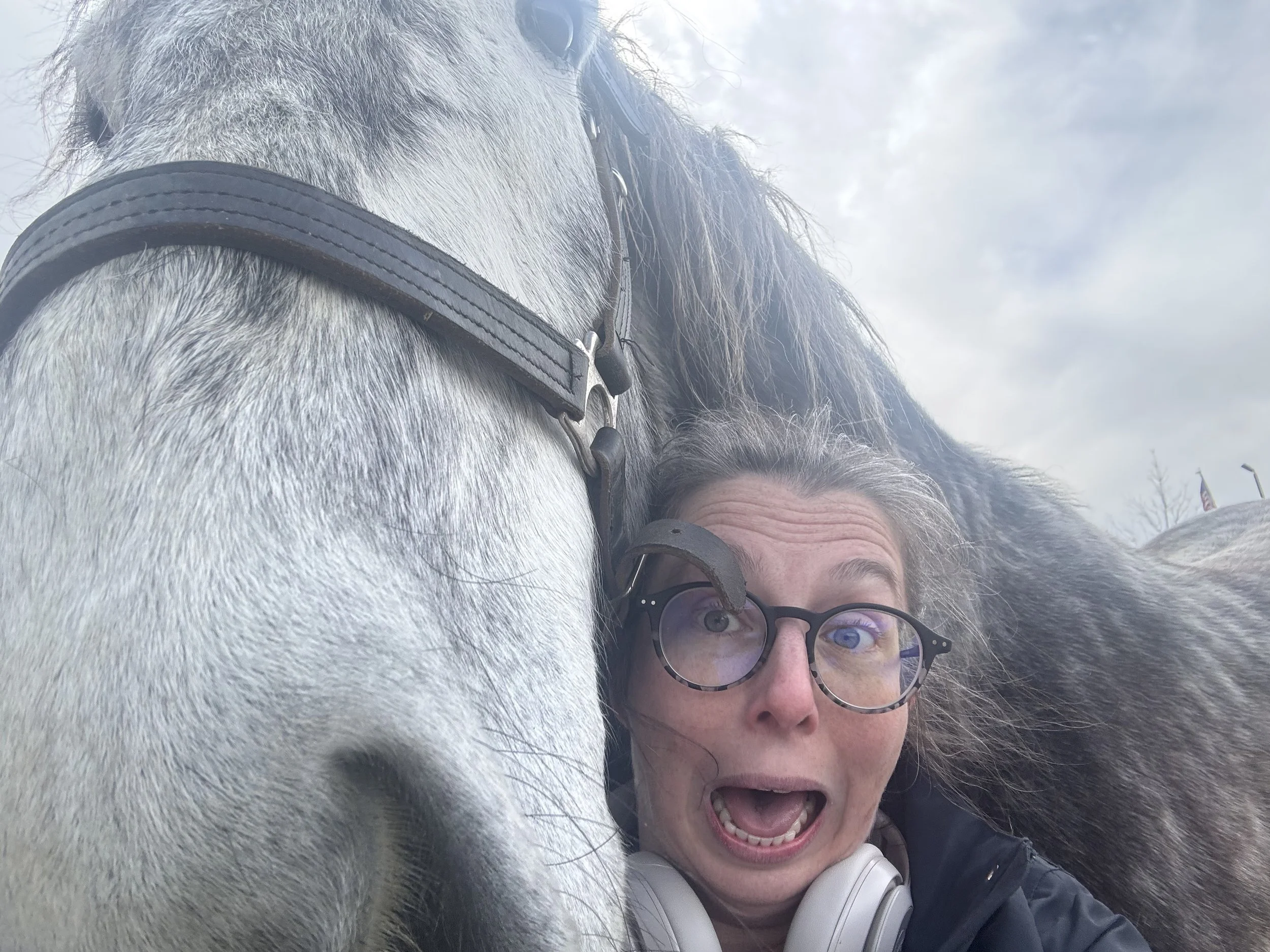 A woman with glasses and headphones taking a selfie with a gray horse that is close to her face, outdoors with cloudy sky.
