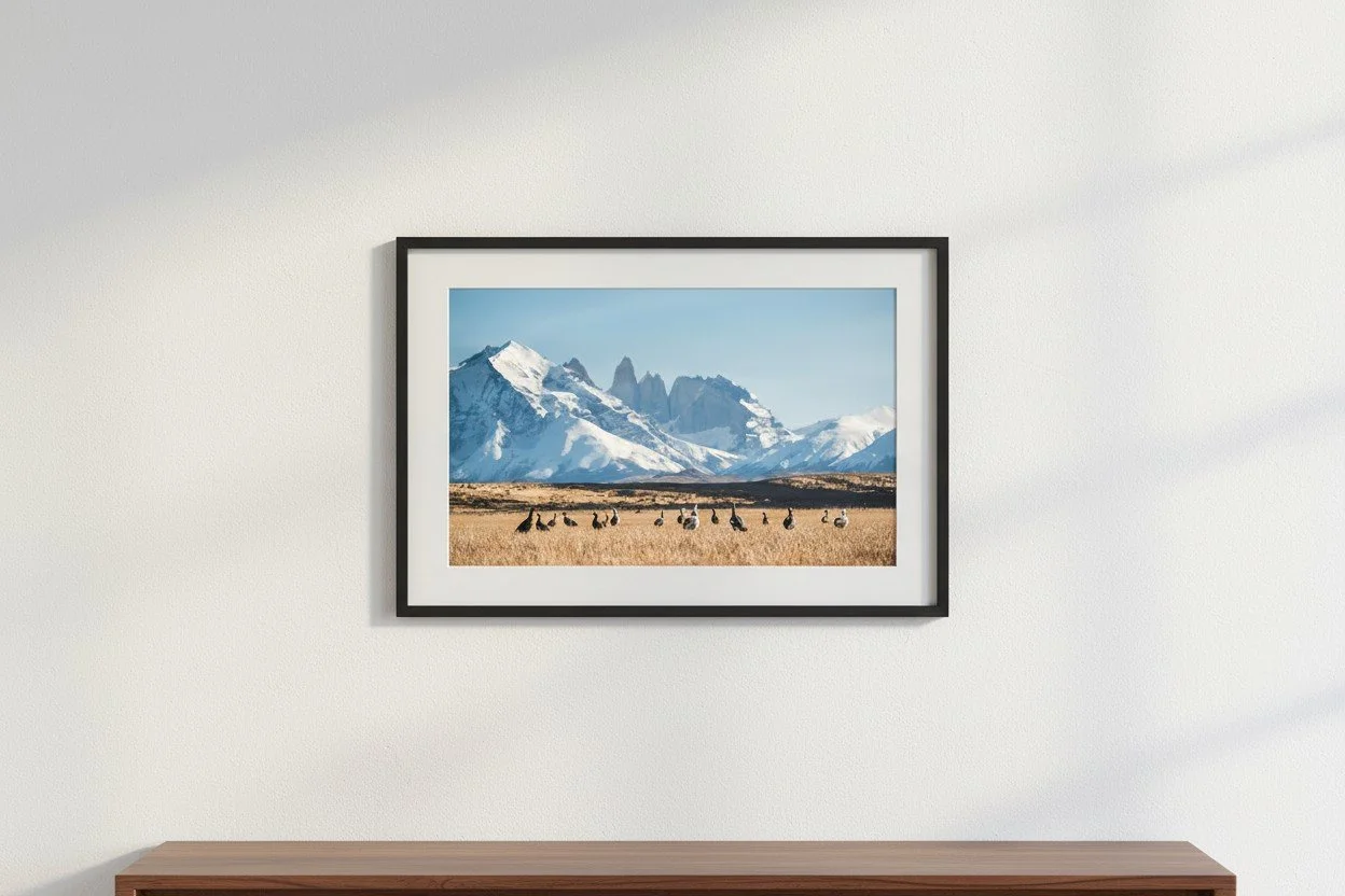 carlosdiaz-33-mockup.jpg