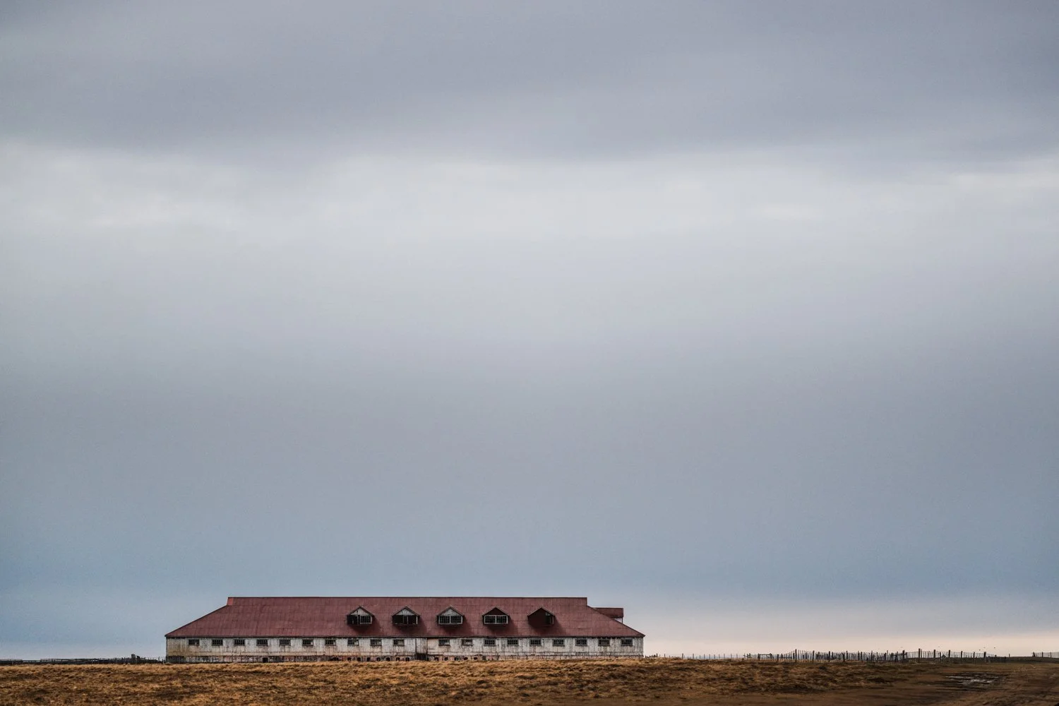Gris