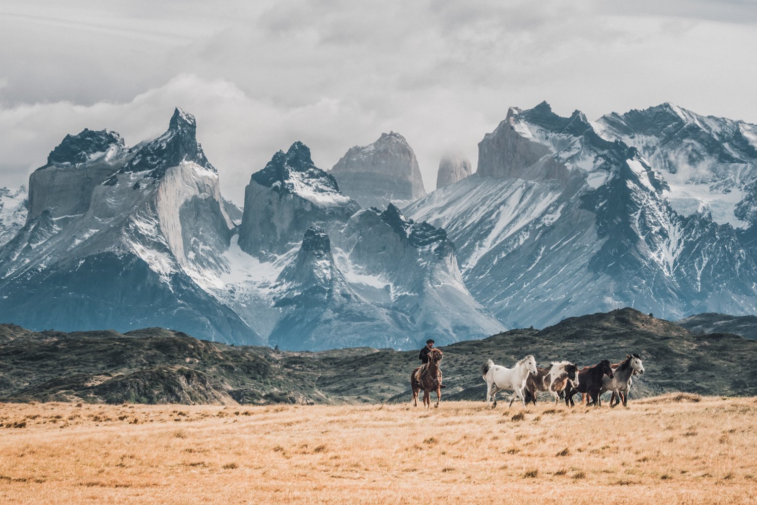 Caballos