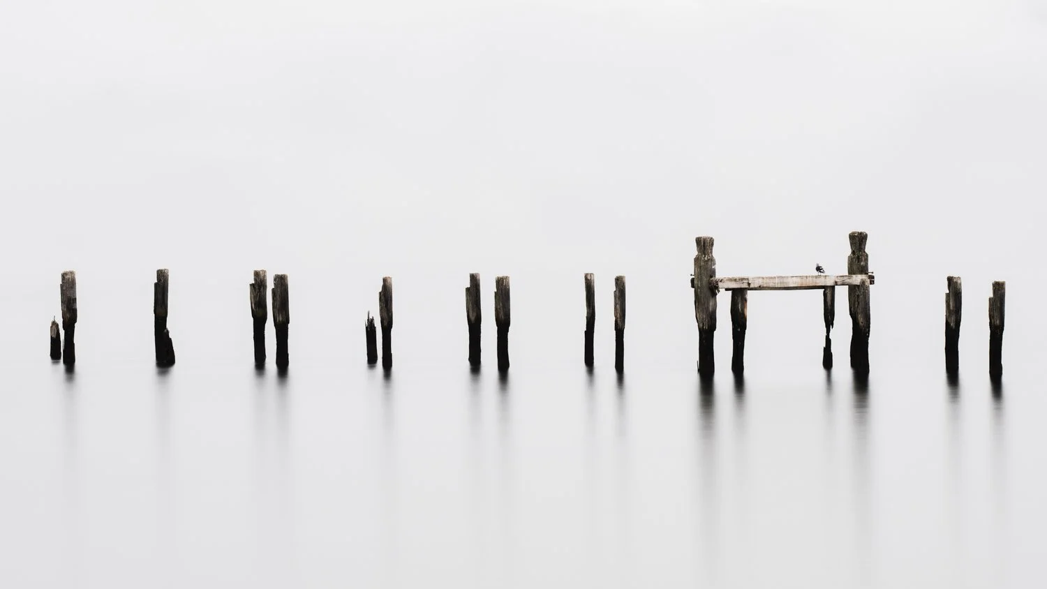 carlosdiaz-12.jpg