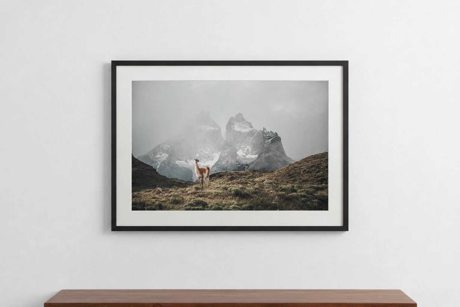 carlosdiaz-2Mockup.jpg