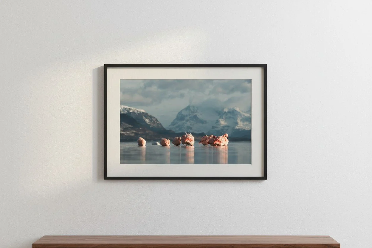 carlosdiaz-62-mockup.jpg