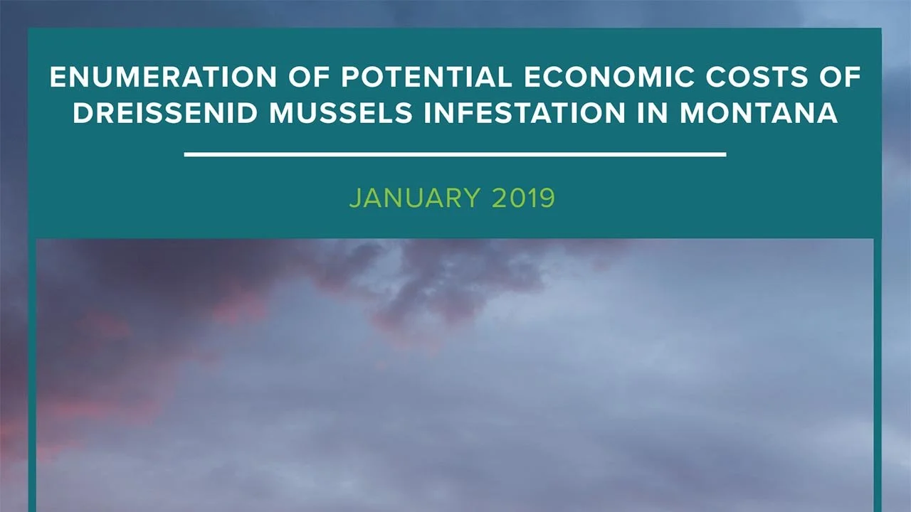 Economic costs of mussels infestation in Montana