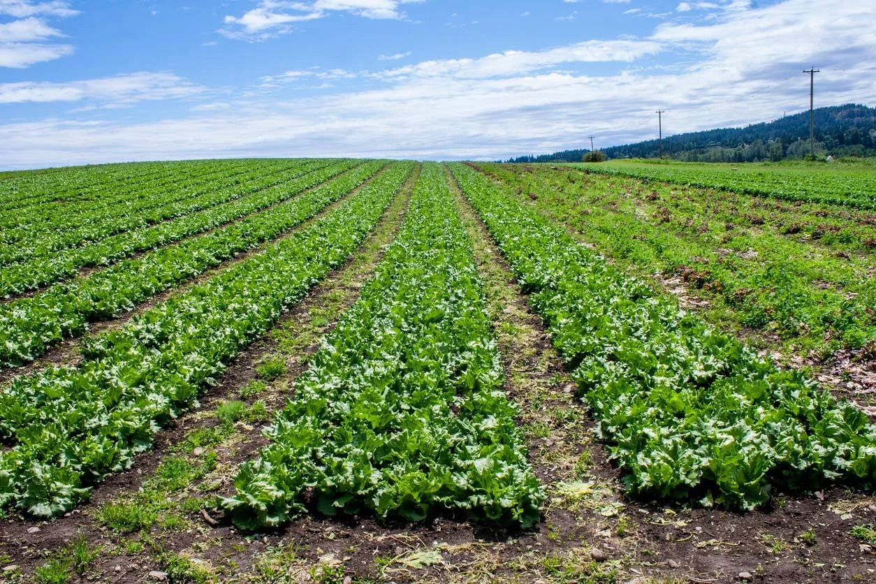 Farmers ‘ready and willing to try’ biological crop solutions