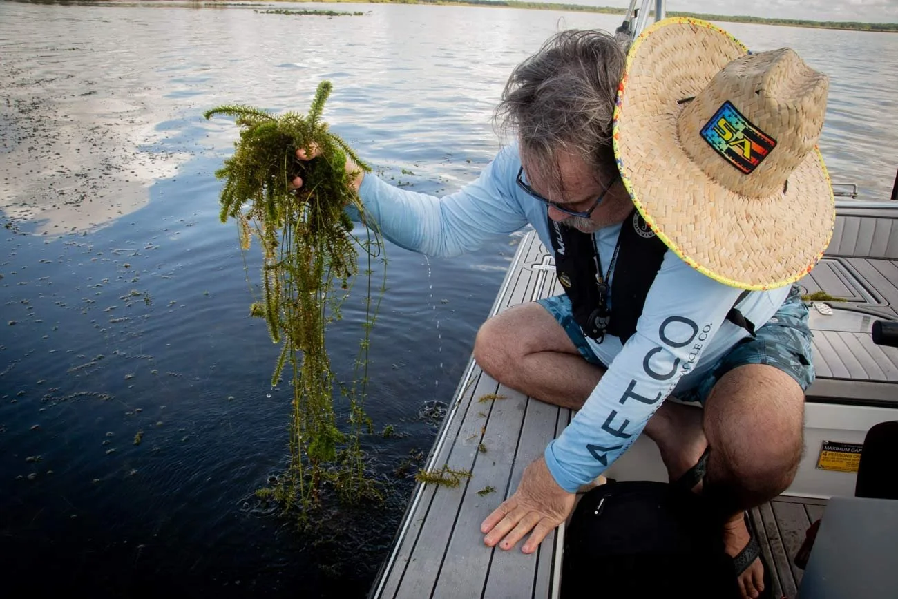 As pollution plagues Florida lakes, state spends millions to manage invasive plants