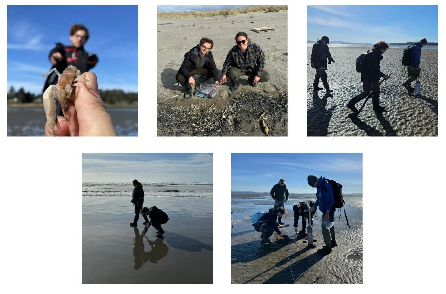Washington State, burrowing shrimp project