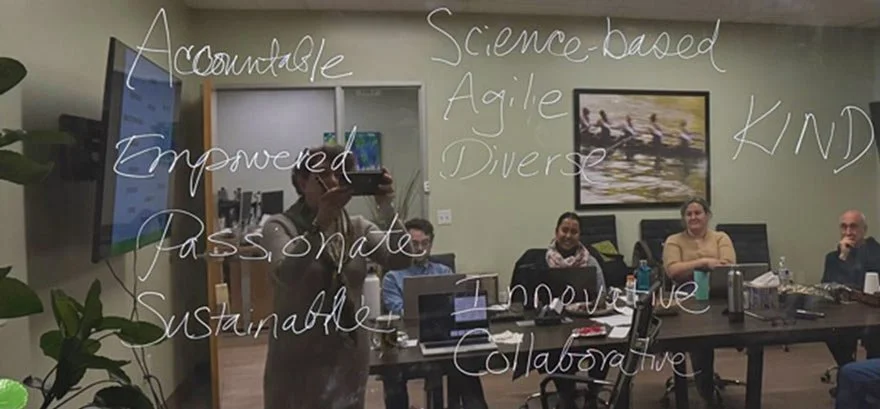 R&D team convene all-hands meeting