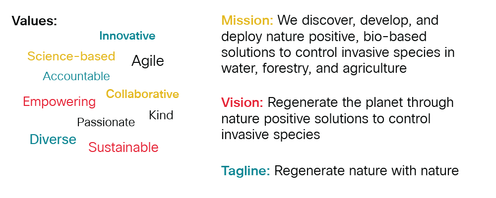 Our values and mission